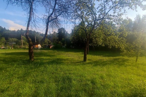 Продается дом д. Зеленая, Привокзальная ул. - фото 5