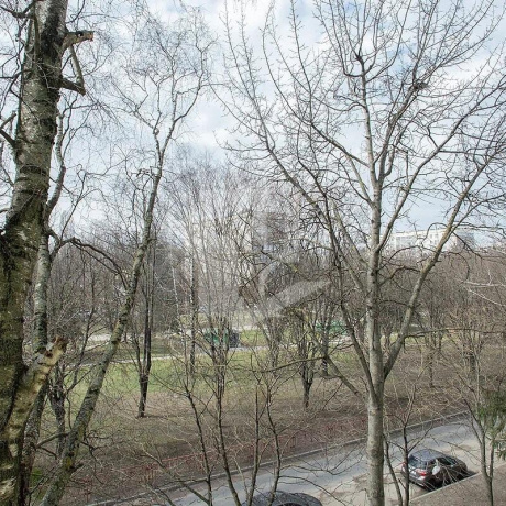 Фотография 2-комнатная квартира по адресу Данилы Сердича ул., д. 4 - фото 11