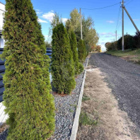 Фотография Продается коттедж д. Цнянка, Заречная ул., д. 7 - фото 7