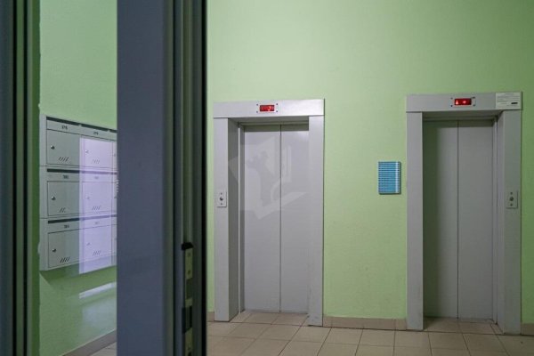 4-комнатная квартира по адресу Одоевского ул., д. 101 к. а - фото 14