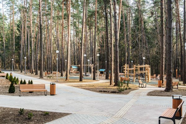 2-комнатная квартира по адресу Подлесная ул., д. 4 - фото 5