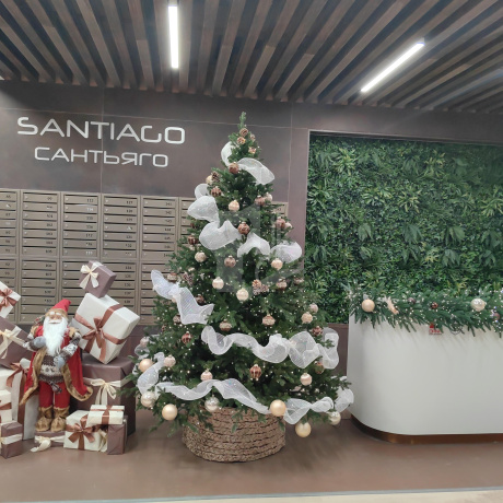 Фотография 2-комнатная квартира по адресу Жореса Алфёрова ул., д. 3 - фото 16