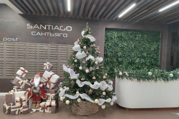 2-комнатная квартира по адресу Жореса Алфёрова ул., д. 3 - фото 15