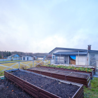 Фотография Продается дом д. Черемуха - фото 7