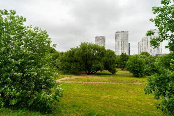 2-комнатная квартира по адресу Неманская ул., д. 5 - фото 18
