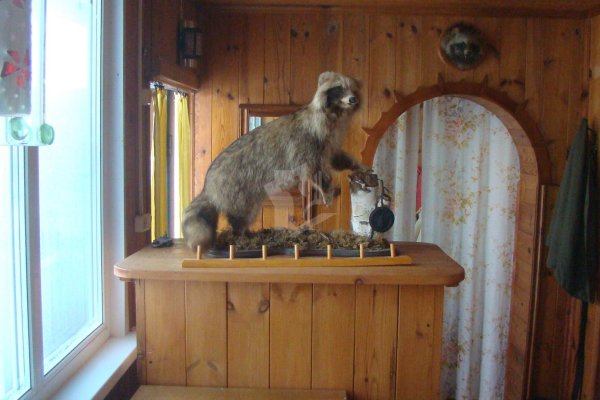 Продается дача с/т. Свитанак-Перхурово - фото 11