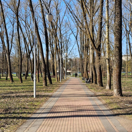 Фотография 2-комнатная квартира по адресу Нововиленский пер., д. 8 - фото 17