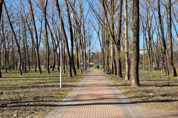 2-комнатная квартира по адресу Нововиленский пер., д. 8 - фото 17