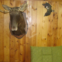 Фотография Продается дача с/т. Свитанак-Перхурово - фото 14