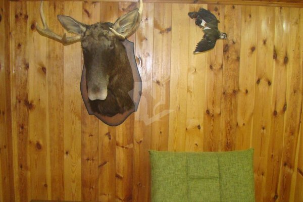 Продается дача с/т. Свитанак-Перхурово - фото 14