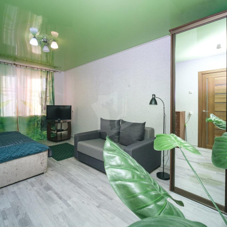 Фотография 1-комнатная квартира по адресу Селицкого ул., д. 79 - фото 7