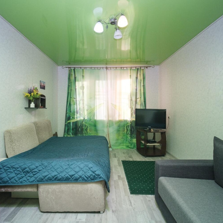 Фотография 1-комнатная квартира по адресу Селицкого ул., д. 79 - фото 8