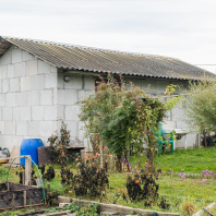 Фотография Продается участок аг. Колодищи, Пушкина ул., д. 77 - фото 9