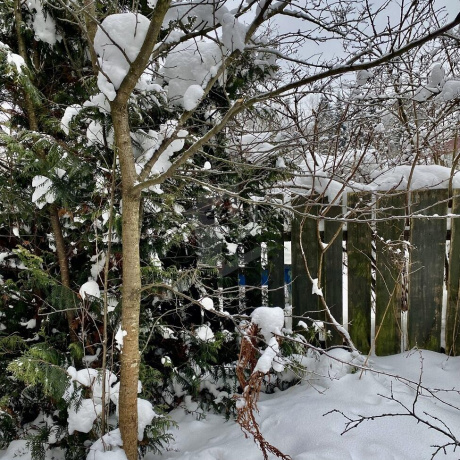 Фотография 1-комнатная квартира по адресу Славянская ул., д. 39 - фото 9