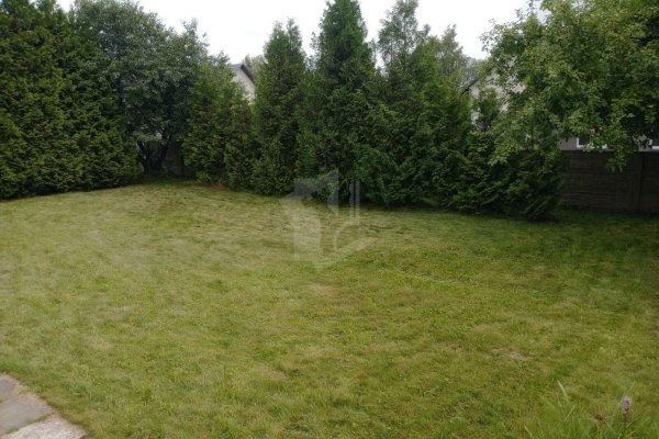Продается дача д. Кривое Село - фото 4