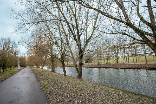 3-комнатная квартира по адресу Багратиона 2-й пер., д. 19 - фото 18