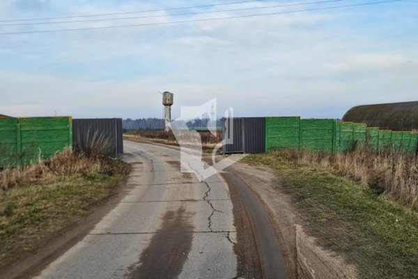 Сдается производственное/складское помещение по адресу д. Аронова Слобода, , - фото 7