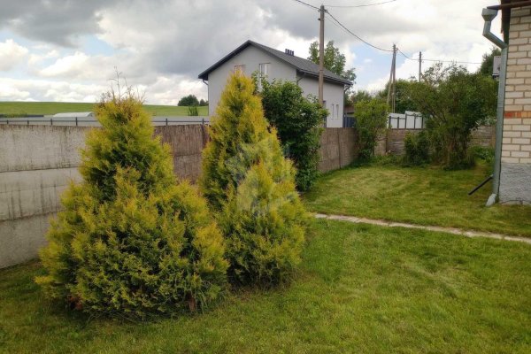 Продается дача д. Кривое Село - фото 13