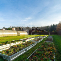 Фотография Продается дом п. Тресковщина, Щорса, д. 26 к. А - фото 6