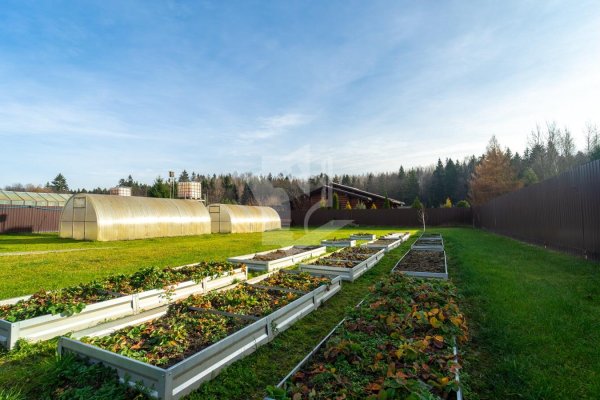 Продается дом п. Тресковщина, Щорса, д. 26 к. А - фото 6