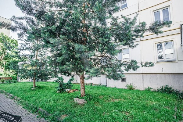 1-комнатная квартира по адресу Восточная ул., д. 127 - фото 8
