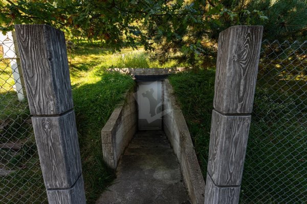 Продается дом д. Чертяж, Луговая ул. - фото 8