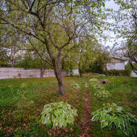 Фотография Продается таунхаус с/т. Армеец-1 - фото 5