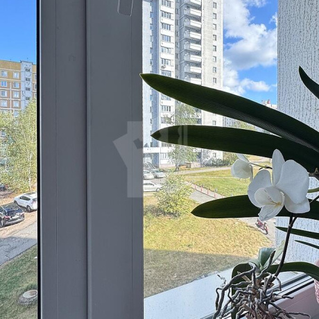 Фотография 1-комнатная квартира по адресу Шугаева ул., д. 9 - фото 11