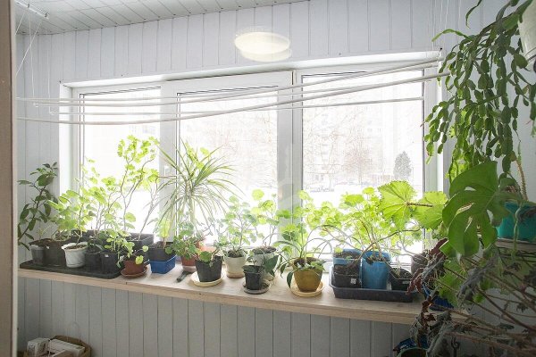 3-комнатная квартира по адресу Есенина ул., д. 29 - фото 13