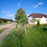 Фотография Продается коттедж д. Старина, Янтарная ул. - фото 5