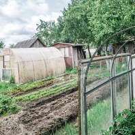 Фотография Продается дача с/т. Боровая - фото 11