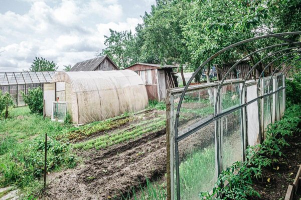 Продается дача с/т. Боровая - фото 11