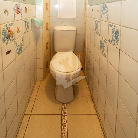 Фотография 2-комнатная квартира по адресу Пушкина просп., д. 19 - фото 13