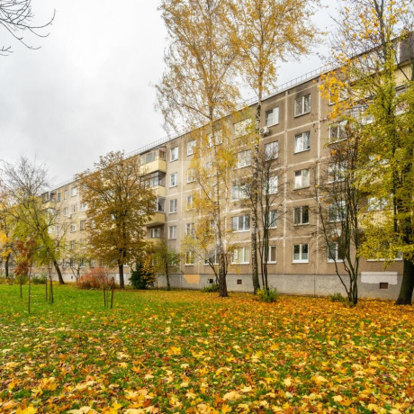 Фотография 2-комнатная квартира по адресу Пушкина просп., д. 19 - фото 16