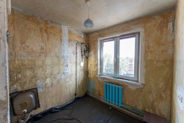 1-комнатная квартира по адресу Орловская ул., д. 5 - фото 4