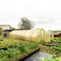 Фотография Продается дача с/т. Факел-Третий век - фото 9