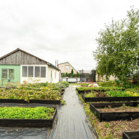 Фотография Продается дача с/т. Факел-Третий век - фото 11