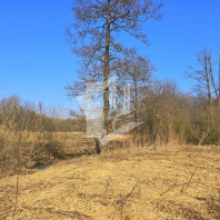 Фотография Продается коттедж д. Старое Село, Центральная ул. - фото 11