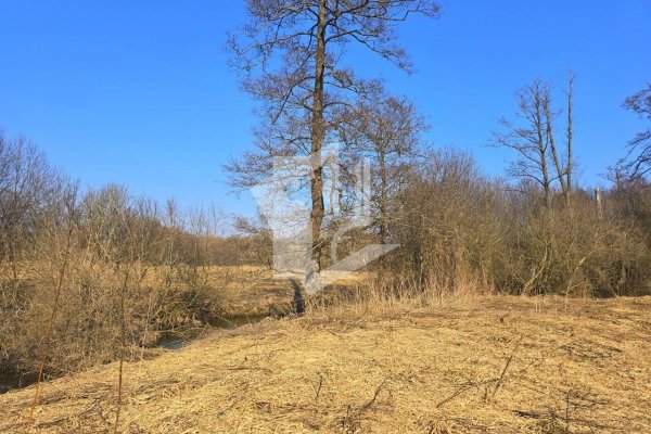 Продается коттедж д. Старое Село, Центральная ул. - фото 11