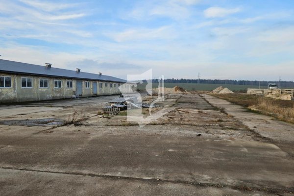 Сдается производственное/складское помещение по адресу д. Аронова Слобода, , - фото 15