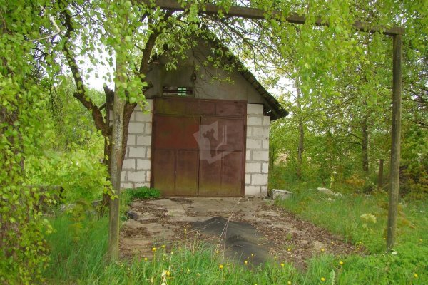 Продается дом д. Барсуки - фото 4