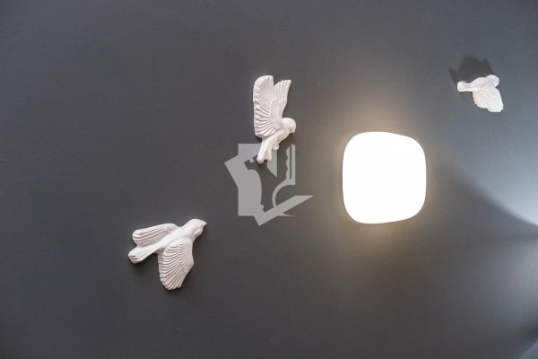 2-комнатная квартира по адресу Киселева ул., д. 28 - фото 15