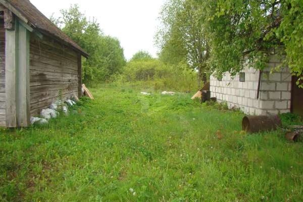 Продается дом д. Барсуки - фото 5