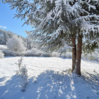 Фотография Продается дача с/т. Трактор - фото 4