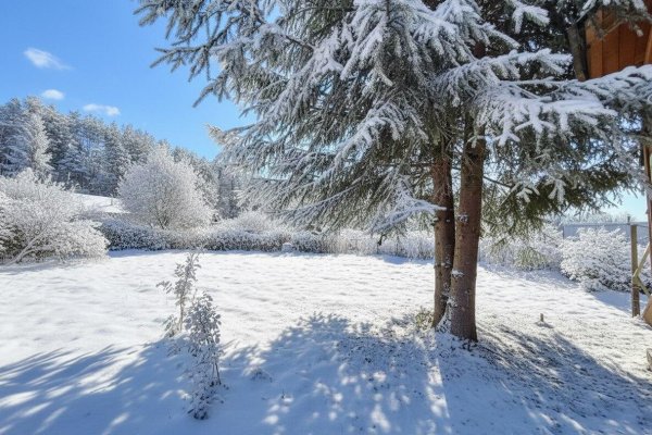 Продается дача с/т. Трактор - фото 4