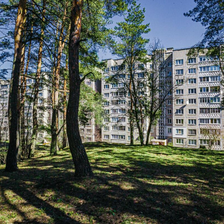 Фотография 1-комнатная квартира по адресу Холмогорская ул., д. 47 к. 1 - фото 18