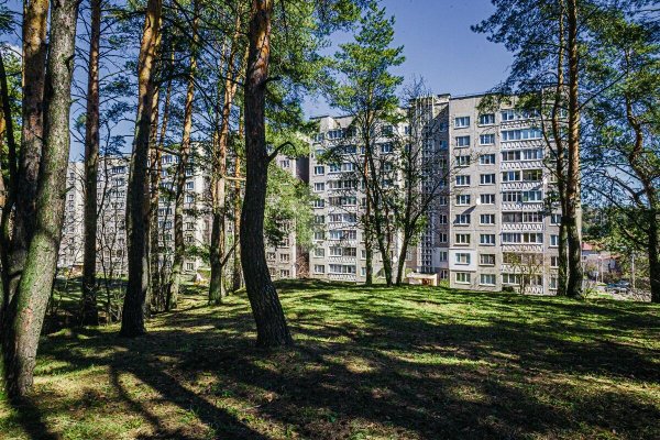 1-комнатная квартира по адресу Холмогорская ул., д. 47 к. 1 - фото 18