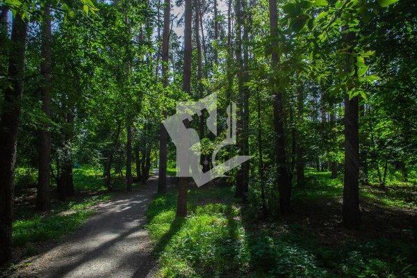 1-комнатная квартира по адресу Ангарская ул., д. 50 - фото 17