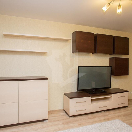 Фотография 1-комнатная квартира по адресу Янковского ул., д. 40 - фото 5