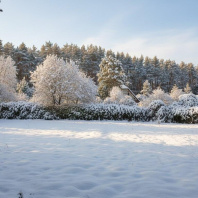 Фотография Продается дача с/т. Трактор - фото 6